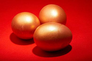 《幸存者：遗弃之岛》Steam页面上线 暂不支持中文